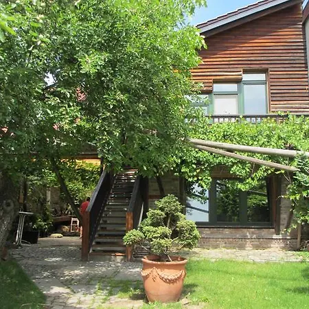 Daire Bluming - Im Spreewald