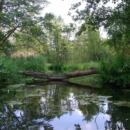 Apartment Bluming - Im Spreewald *