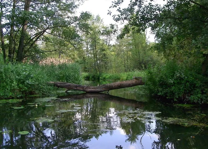 Lägenhet Bluming - Im Spreewald *